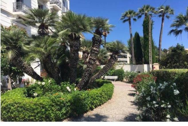 Winter Palace Cannes Eksteriør billede